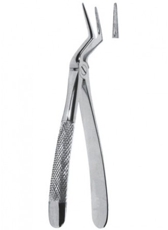 Extracting Forceps